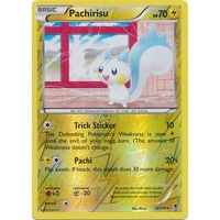 Pachirisu 25/119 XY Phantom Forces Reverse Holo Rare Pokemon Card NEAR MINT TCG