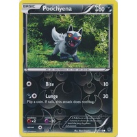 Poochyena 53/119 XY Phantom Forces Reverse Holo Common Pokemon Card NEAR MINT TCG