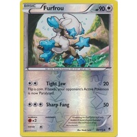 Furfrou 90/119 XY Phantom Forces Reverse Holo Uncommon Pokemon Card NEAR MINT TCG