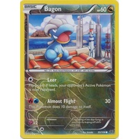 Bagon 55/108 XY Roaring Skies Reverse Holo Common Pokemon Card NEAR MINT TCG