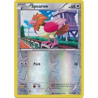 Spearow 65/108 XY Roaring Skies Reverse Holo Common Pokemon Card NEAR MINT TCG