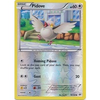 Pidove 78/108 XY Roaring Skies Reverse Holo Common Pokemon Card NEAR MINT TCG