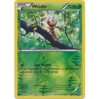 Weedle 3/146 XY Base Set Reverse Holo Common Pokemon Card NEAR MINT TCG