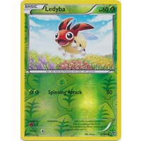 Ledyba 6/146 XY Base Set Reverse Holo Common Pokemon Card NEAR MINT TCG