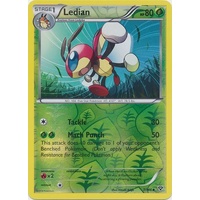 Ledian 7/146 XY Base Set Reverse Holo Uncommon Pokemon Card NEAR MINT TCG
