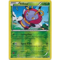 Volbeat 8/146 XY Base Set Reverse Holo Uncommon Pokemon Card NEAR MINT TCG