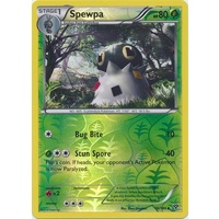 Spewpa 16/146 XY Base Set Reverse Holo Uncommon Pokemon Card NEAR MINT TCG