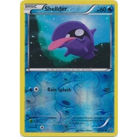 Shellder 31/146 XY Base Set Reverse Holo Common Pokemon Card NEAR MINT TCG