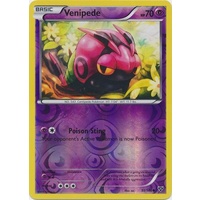 Venipede 51/146 XY Base Set Reverse Holo Common Pokemon Card NEAR MINT TCG