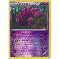Scolipede 53/146 XY Base Set Reverse Holo Rare Pokemon Card NEAR MINT TCG