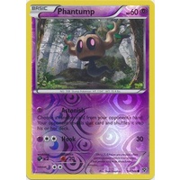Phantump 54/146 XY Base Set Reverse Holo Common Pokemon Card NEAR MINT TCG