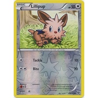 Lillipup 108/146 XY Base Set Reverse Holo Common Pokemon Card NEAR MINT TCG