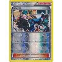 Cassius 115/146 XY Base Set Reverse Holo Uncommon Trainer Pokemon Card NEAR MINT TCG
