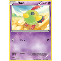 Natu 27/108 XY Roaring Skies Common Pokemon Card NEAR MINT TCG