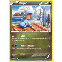 Bagon 55/108 XY Roaring Skies Common Pokemon Card NEAR MINT TCG