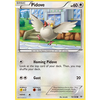 Pidove 78/108 XY Roaring Skies Common Pokemon Card NEAR MINT TCG