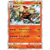 Arcanine 009/095 SM10 Double Blaze Japanese Holo Pokemon Card NEAR MINT TCG