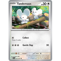 Tandemaus 073/091 Scarlet and Violet Paldean Fates Common Pokemon Card NEAR MINT TCG
