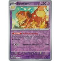 Dachsbun 039/091 Scarlet and Violet Paldean Fates Reverse Holo Uncommon Pokemon Card NEAR MINT TCG