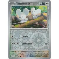 Tandemaus 073/091 Scarlet and Violet Paldean Fates Reverse Holo Common Pokemon Card NEAR MINT TCG