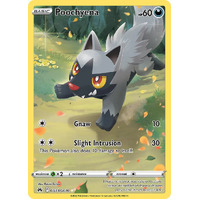 Poochyena GG33/GG70 Holo Crown Zenith Galarian Gallery Rare Pokemon Card NEAR MINT TCG