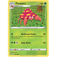 Parasect 4/189 SWSH Darkness Ablaze Uncommon Pokemon Card NEAR MINT TCG