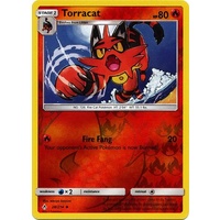 Torracat 28/214 SM Unbroken Bonds Reverse Holo Uncommon Pokemon Card NEAR MINT TCG
