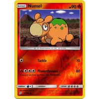 Numel 23/236 SM Unified Minds Reverse Holo Common Pokemon Card NEAR MINT TCG