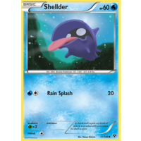 Shellder 31/146 XY Base Set Common Pokemon Card NEAR MINT TCG