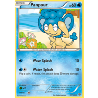 Panpour 37/146 XY Base Set Common Pokemon Card NEAR MINT TCG