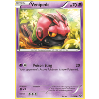 Venipede 51/146 XY Base Set Common Pokemon Card NEAR MINT TCG