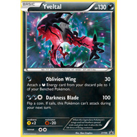Yveltal XY06 XY Black Star Promo Pokemon Card NEAR MINT TCG