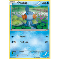 Mudkip XY38 XY Black Star Promo Pokemon Card NEAR MINT TCG