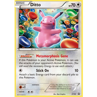 Ditto XY40 XY Black Star Promo Pokemon Card NEAR MINT TCG