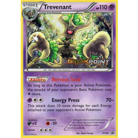 Trevenant XY94 XY Black Star Promo Pokemon Card NEAR MINT TCG