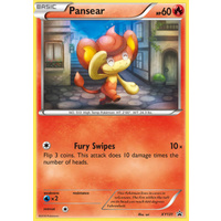 Pansear XY131 XY Black Star Promo Pokemon Card NEAR MINT TCG