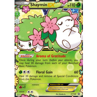 Shaymin EX XY148 XY Black Star Promo Pokemon Card NEAR MINT TCG