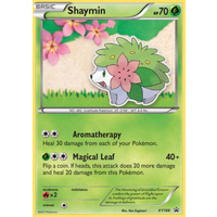 Shaymin XY188 XY Black Star Promo Pokemon Card NEAR MINT TCG