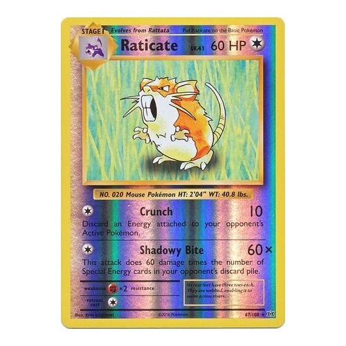 Raticate 67/108 XY Evolutions Reverse Holo Rare Pokemon Card NEAR MINT TCG