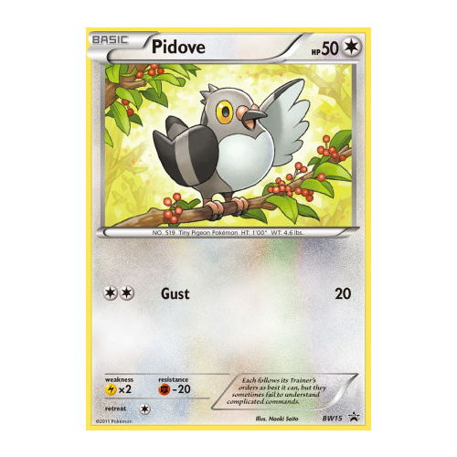Pidove BW15 BW Black Star Promo Pokemon Card NEAR MINT TCG