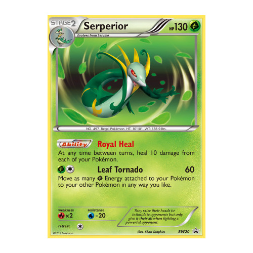 Serperior BW20 BW Black Star Promo Pokemon Card NEAR MINT TCG