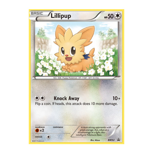 Lillipup BW52 BW Black Star Promo Pokemon Card NEAR MINT TCG