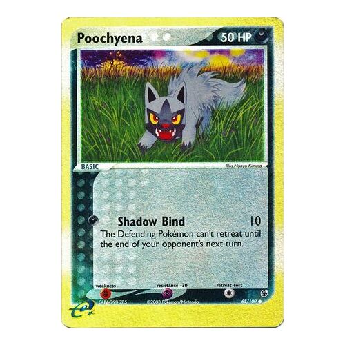 Poocheyna 65/109 EX Ruby and Sapphire Reverse Holo Common Pokemon Card NEAR MINT TCG