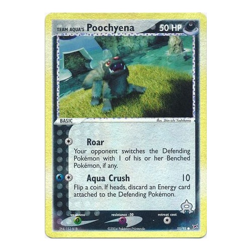 Team Aqua's Poochyena 55/95 EX Team Magma vs Team Aqua Reverse Holo Common Pokemon Card NEAR MINT TCG