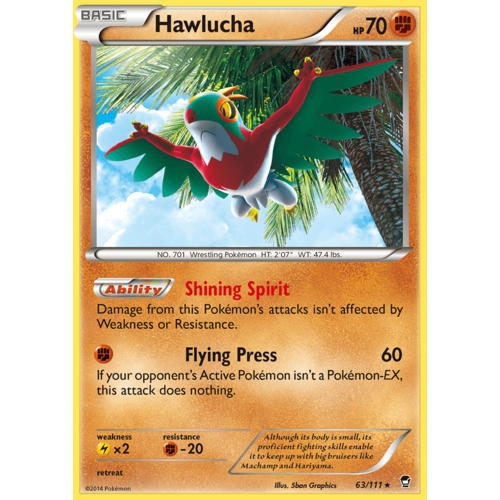 Hawlucha 63/111 XY Furious Fists Holo Rare Pokemon Card NEAR MINT TCG