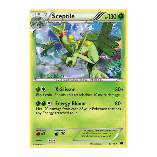 Sceptile 8/116 BW Plasma Freeze Holo Rare Pokemon Card NEAR MINT TCG