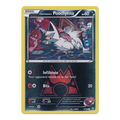 Team Magma's Poochyena 17/34 XY Double Crisis Reverse Holo Common Pokemon Card NEAR MINT TCG
