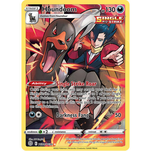 Houndoom 10/30 SWSH Brilliant Stars Trainer Gallery Holo Ultra Rare Pokemon Card NEAR MINT TCG