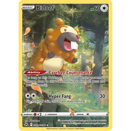 Bidoof GG29/GG70 Holo Crown Zenith Galarian Gallery Rare Pokemon Card NEAR MINT TCG