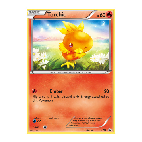 Torchic XY37 XY Black Star Promo Pokemon Card NEAR MINT TCG